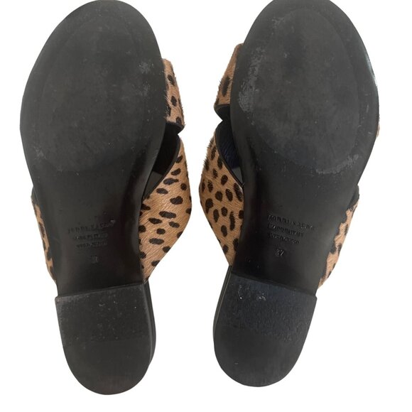 Jenni Kayne Leopard Print Slide Sandals - Picture 6 of 6